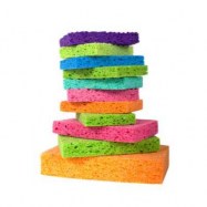 sponges